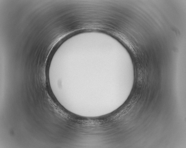 X0000115780980200912041448