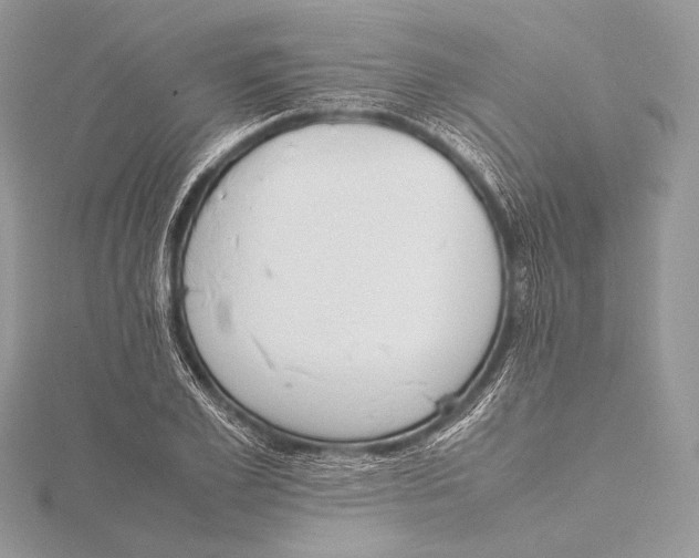 X0000115780981200912041448