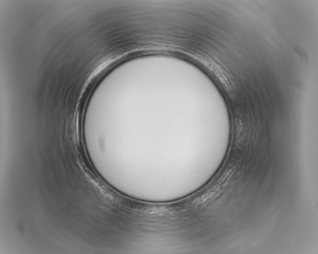 X0000115780982200912041448