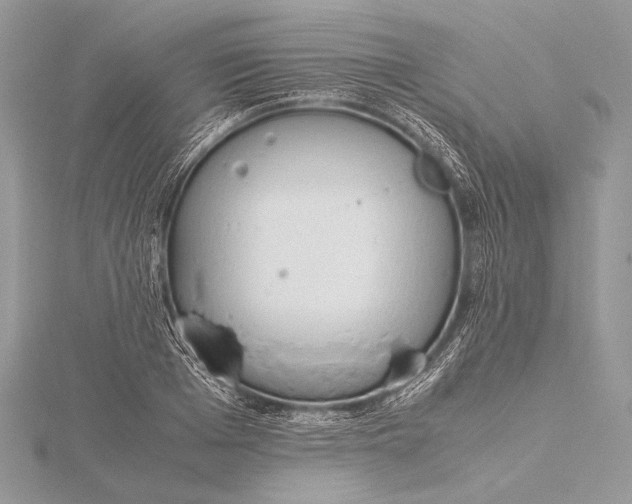 X0000115780985200912041448