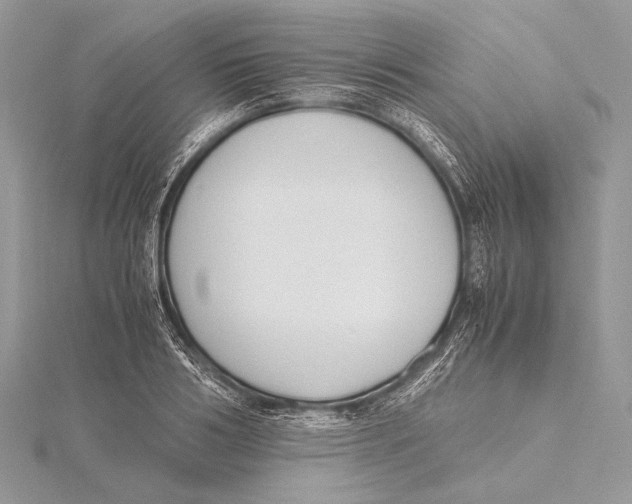 X0000115780986200912041448