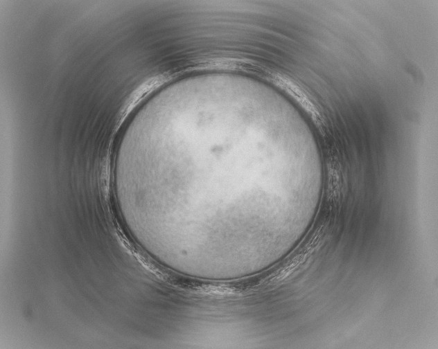 X0000115780994200912041448