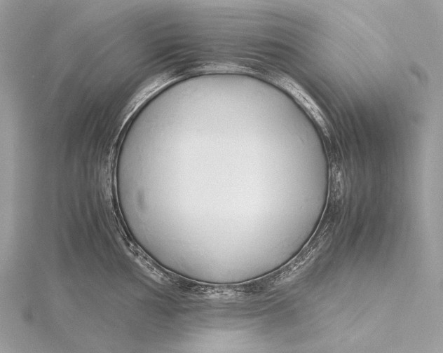 X0000115781002200912041447