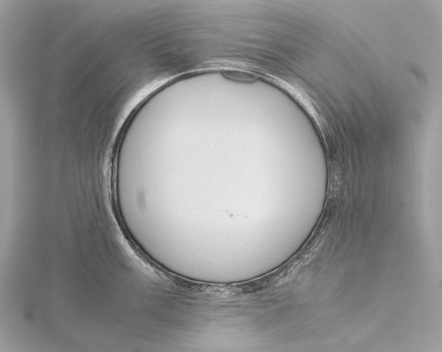 X0000115781003200912041447