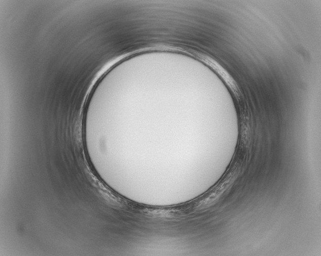 X0000115781004200912041447