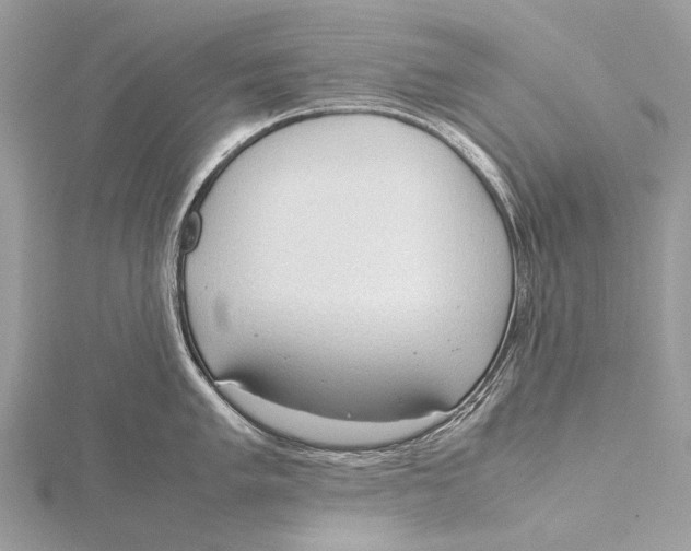 X0000115781005200912041447