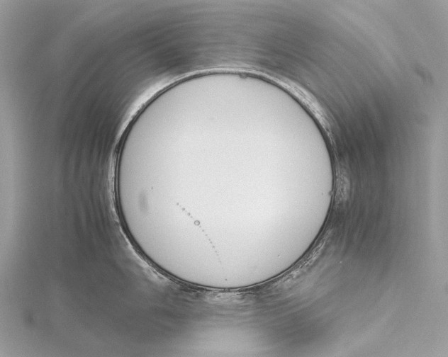 X0000115781006200912041447