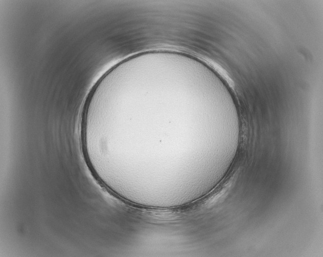 X0000115781007200912041447