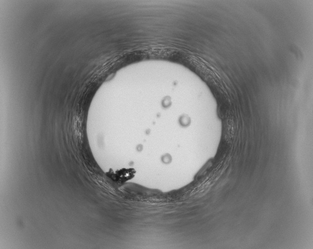 X0000115781010200912041447