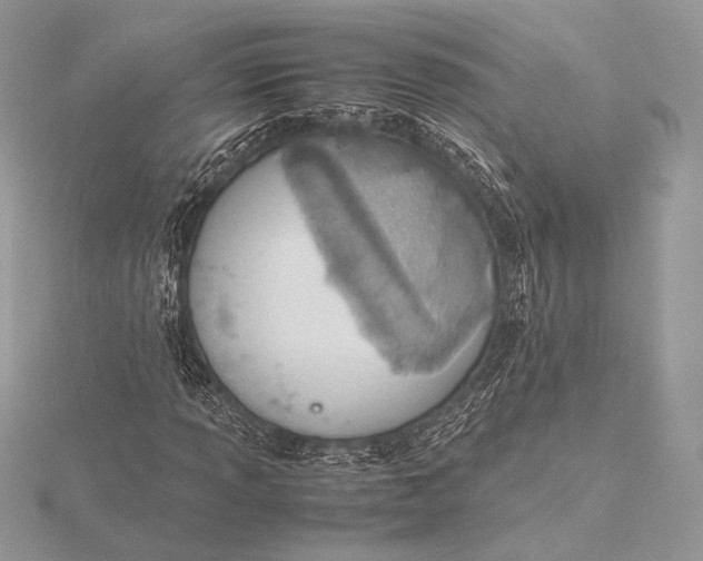 X0000115781013200912041447