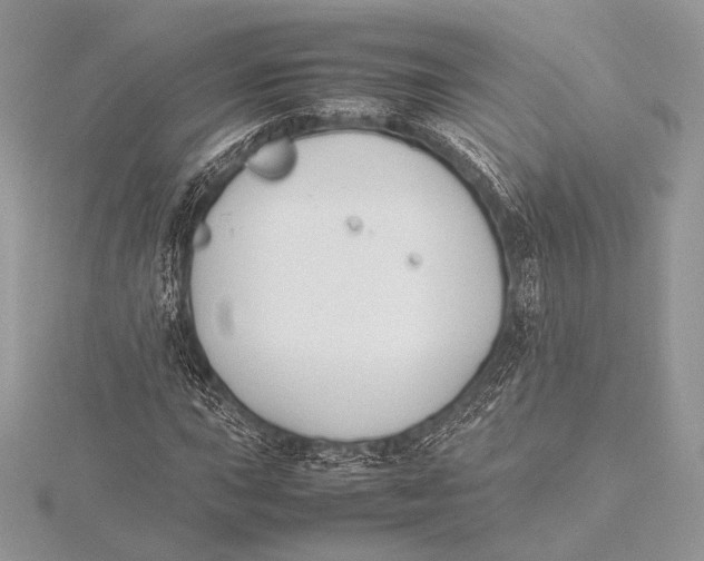 X0000115781015200912041447