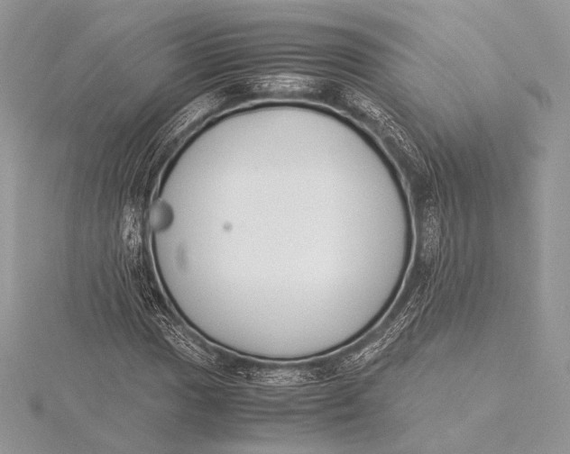 X0000115781017200912041447