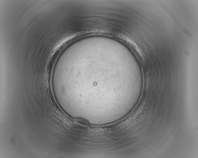 X0000115781019200912041447