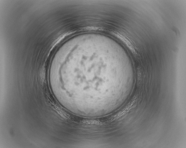 X0000115781023200912041447