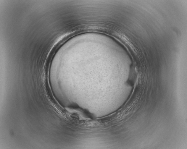 X0000115781024200912041447