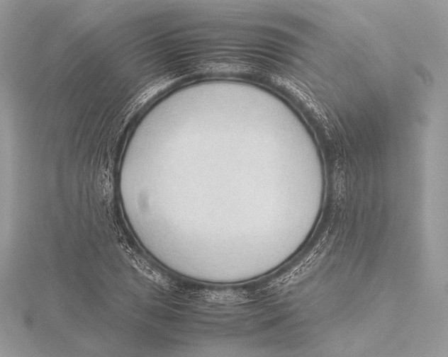 X0000115781025200912041447