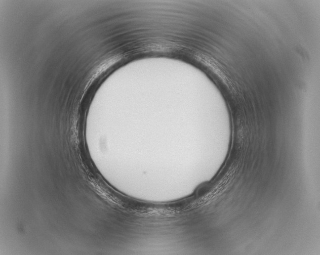 X0000115781026200912041447