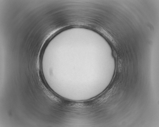 X0000115781028200912041447