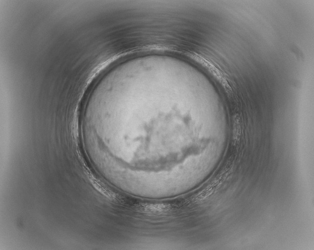 X0000115781031200912041447