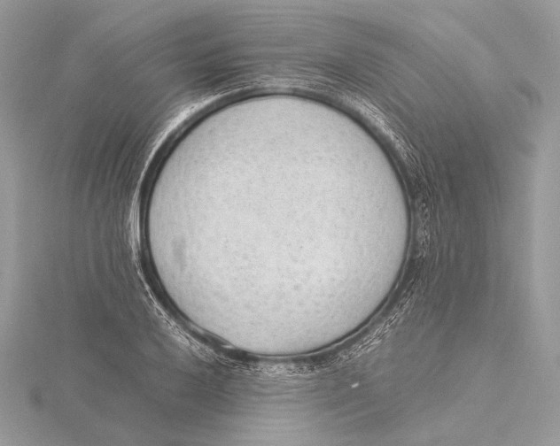 X0000115781032200912041447