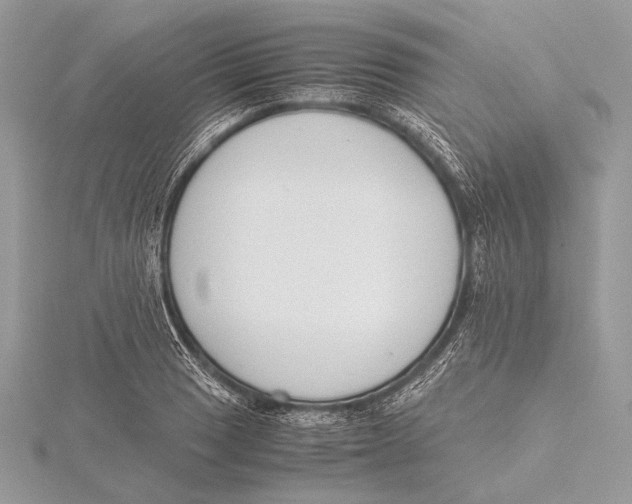 X0000115781033200912041447