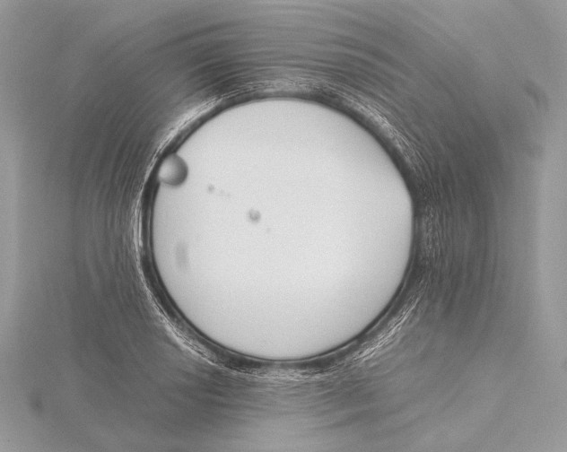 X0000115781034200912041447