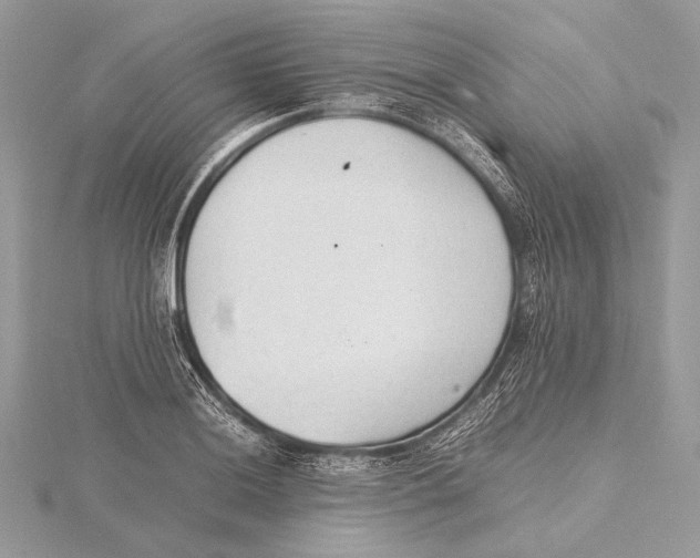 X0000115781036200912041447