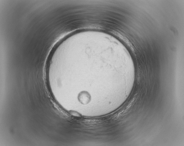 X0000115781037200912041447