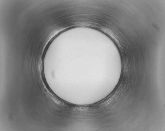 X0000115781040200912041447