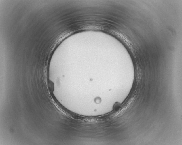 X0000115781041200912041447