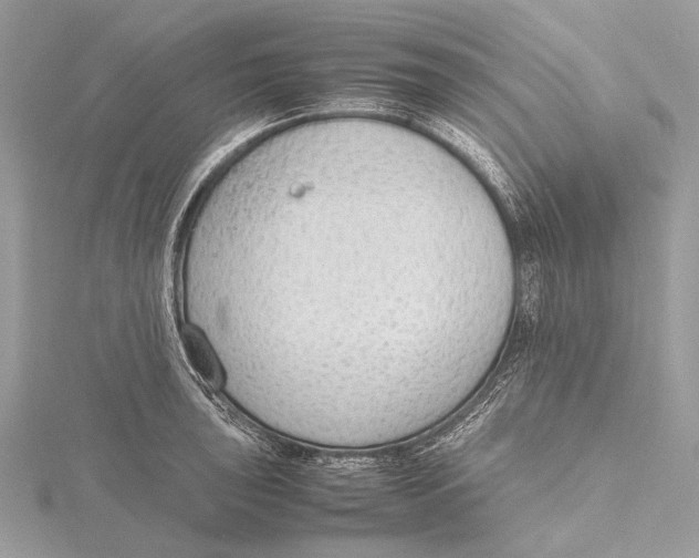 X0000115781043200912041447