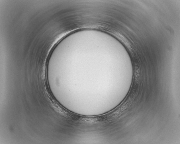 X0000115781044200912041447