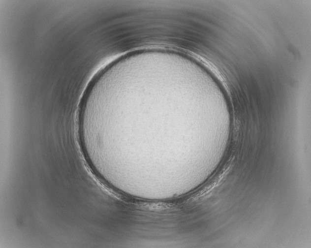 X0000115781045200912041447