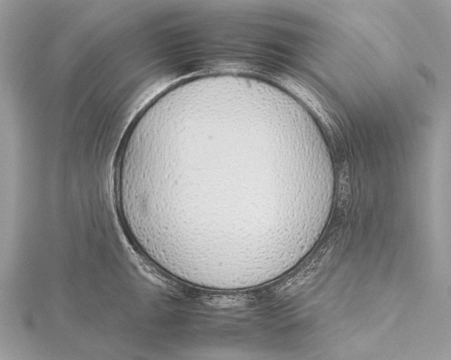 X0000115781047200912041447