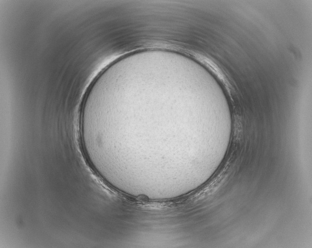 X0000115781048200912041447