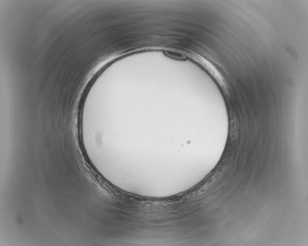 X0000115781051200912041447