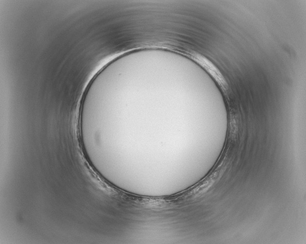 X0000115781052200912041447