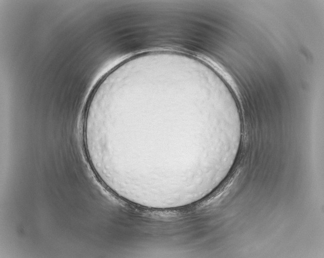 X0000115781053200912041447