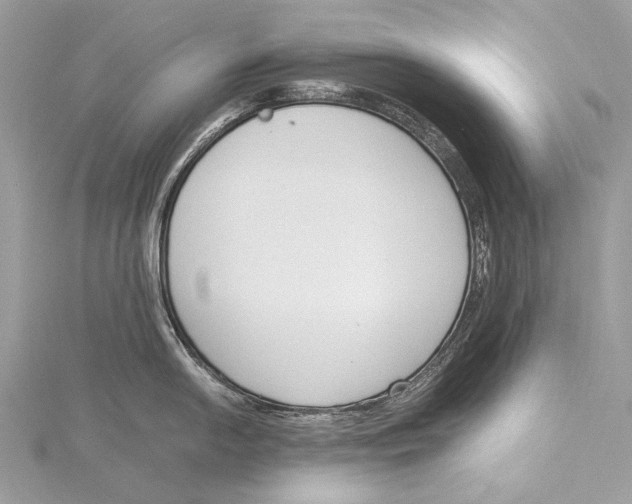 X0000115781054200912041447