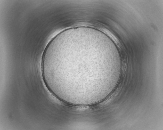 X0000115781055200912041447