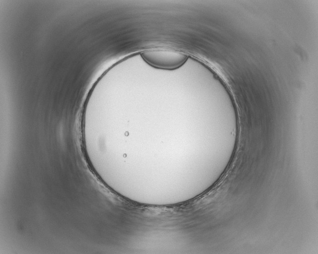 X0000115781056200912041447