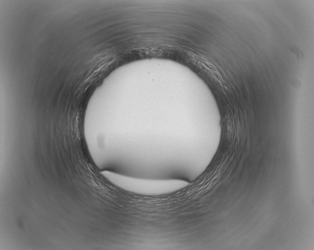 X0000115781060200912041447