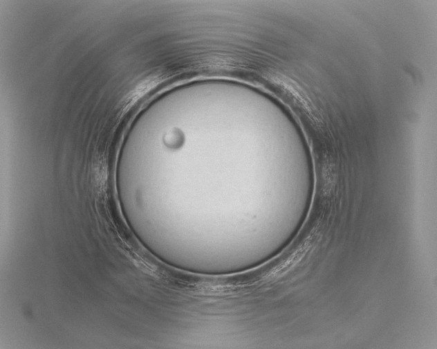 X0000115781065200912041447