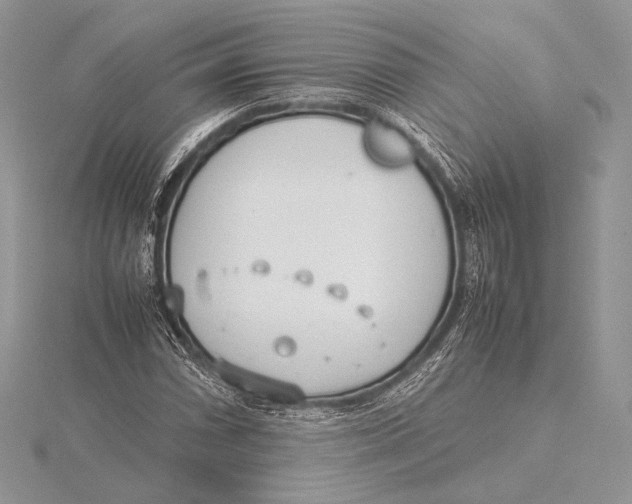 X0000115781066200912041447