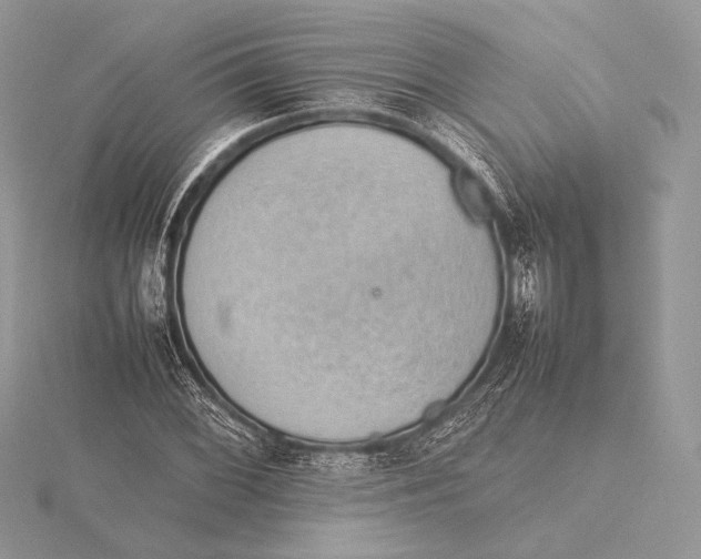 X0000115781068200912041447