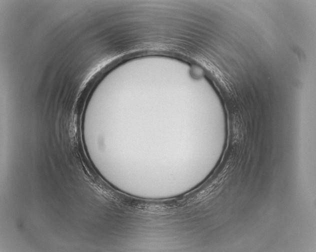 X0000115781070200912041447