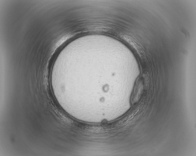 X0000115781071200912041447