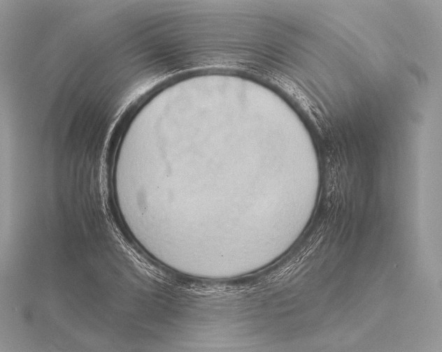 X0000115781072200912041447