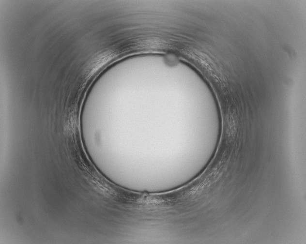 X0000115781073200912041447