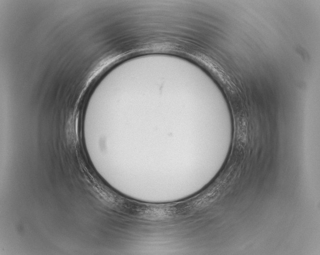 X0000115781078200912041446